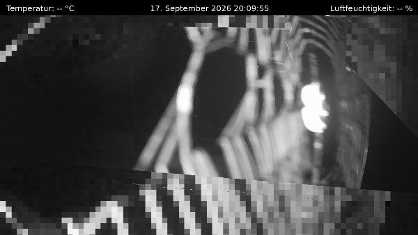 Webcam Track
